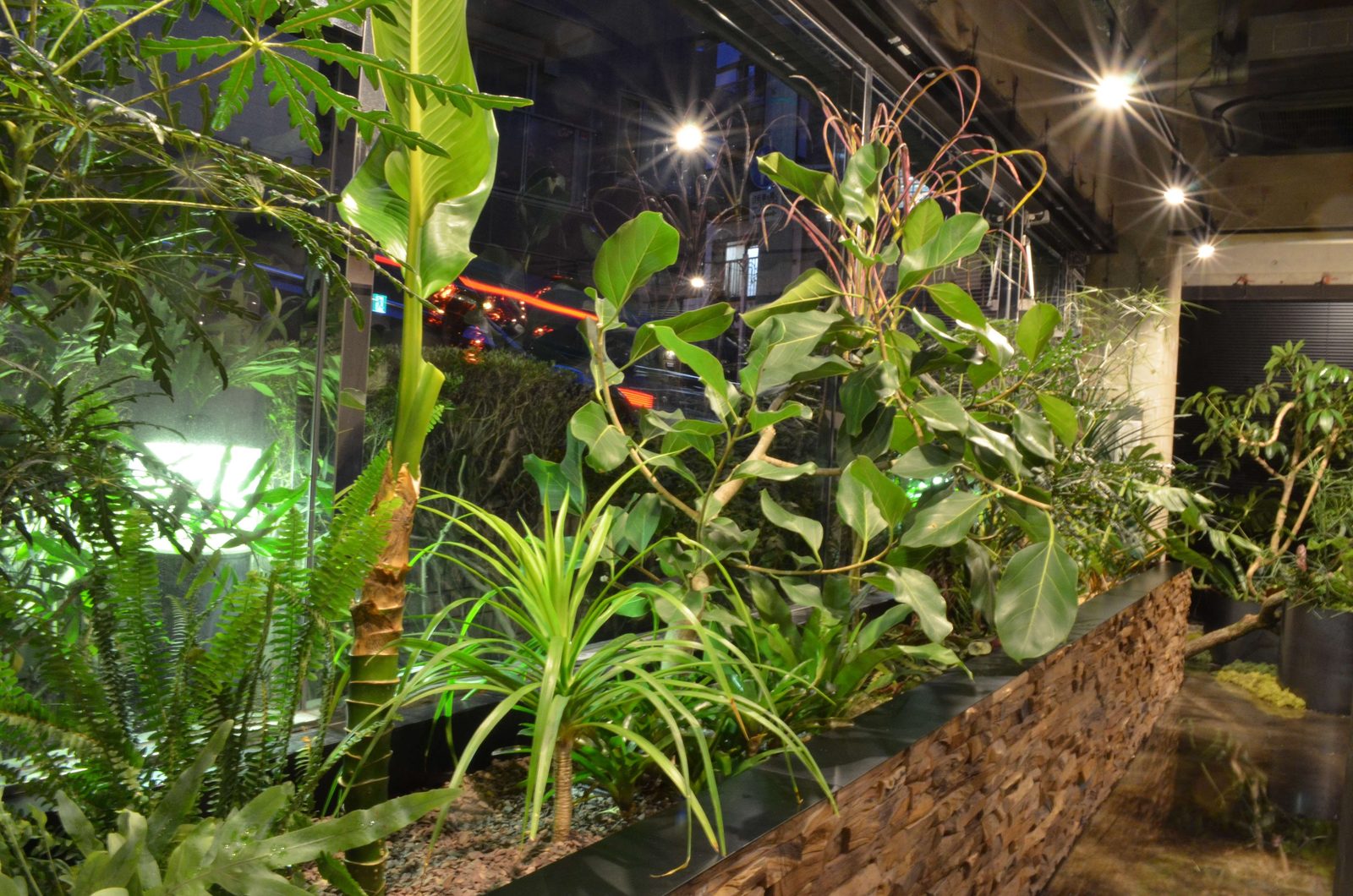 オフィスの窓際に並ぶ植物。枝と緑の葉を組み合わせた植栽